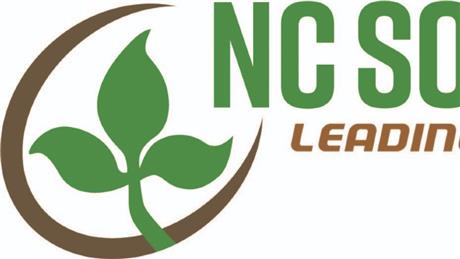 Group Banner Picture